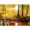 Runa Art Carta da parati fotografica bosco in autunno Moderno Vello Soggiorno Camera Da Letto Sala - Made in Germany - in forma 9141010b