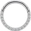 AZARIO LONDON Micro Setting Line Cz Stone G23 Grado Titanio incernierato Clicker Segmento Anello Orecchio Septum Trago Helix Piercing Gioielli, Titanio, pietra, Zirconia cubica