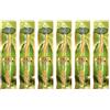 Hometimestore Spazzolino per denti in miswak naturale, privo di componenti chimiche, portatile, per la cura quotidiana di denti e gengive, Menta 6 pezzi