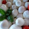 Caseificio Santa Rita Bocconcini di Bufala - Offerta 3 Kg