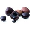 Mucci Giovanni dal 1894 500gr Dragées al Caffè Assortiti, Confetti Ripieni di Liquido al Caffè, Cioccolatini
