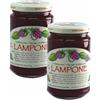 Agritur - Confettura Extra Biologica di Lampone Classic Bio, 60% Frutta, con Zucchero di Canna e Pectina, Naturale e Gustosa, Ideale per Colazione, Dolci e Yogurt, Pack 2×330 g