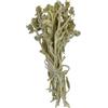 YouHerbIt Tè Di Montagna Euboico Tè Alle Erbe Greco Intero - Sideritis Εuboea (150g)