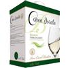 Casalbordino Vino Bianco Bag in Box Terre di Chieti 5 Litri Conca Dorata (5L, 5000, millilitro)