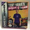 ACTIVISION Tony Hawk's American Sk8land