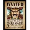 Pyramid International ONE PIECE LIVE ACTION - Gold Roger - Impression encadrée 30x40cm