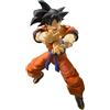 TAMASHII NATIONS Dragon Ball Z Son Goku -A Saiyan Raised On Earth, Bandai S.H.Figuarts