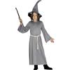 FIESTAS GUIRCA Costume da Mago Grigio Bambini L-(10/12 Anni)