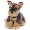 Venturelli Hugo Schnauzer my puppy