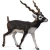 Collecta - 3388638 - Statuetta - Animali Selvatici - Antilope