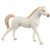 SCHLEICH Stallone arabo, bianco