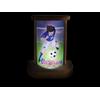 VILEVI Capitan Tsubasa, Holly e Benji, Lampada LED, Maglia Originale Captain Tsubasa, Lampada da Tavolo LED, accendi la Tua Passione, Regalo Bambino (Capitan Tsubasa 02)