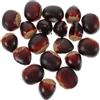 ORFOFE 20 Castagne Finte Artificiali Realistiche Modelli Decorativi Noci per Casa e Cucina Accessori Leggeri e Resistenti per Addobbi e Fotografia Food Prop