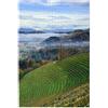 Fyralune Puzzle 500 Pezzi Personalizzata con Foto Testo Nome Puzzle Personalizzato Puzzles 300 Pezzi Personalizzate con Immagini Natale Halloween Festa dei Bambini Regalo Giochi Bambina 5-10 Anni Bimbo