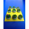 Krea Modellismo Vasi Cemento fioriti Rotondi per plastico o Diorama H0/N Pezzi 9 - KREA