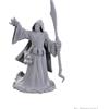Wizkids - D&D Nolzurs Marvelous Miniatures: Wave 25 - Star Spawn Larva Mage
