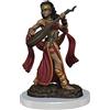 NECA Bardo umano femminile dipinto Pathfinder Premium