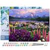 Figured'Art Dipingere con i Numeri con Telaio - Paint by Numbers Fiori E Lago Vicino Alla Montagna, Passatempo per Adulti, Kit Completo, Hobby Creativi Quadri fai da te 40x50cm Tela Già Incorniciata