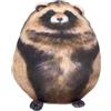 TOPLITHE Cuscino in peluche con gatto di Pallas 3D, cuscino con volpe procione Animali di peluche Simpatico peluche Decorazioni for la casa Regalo for Compleanno Natale San Valentino (Size : Raccoon)