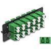 Delock Pannello adattatore in fibra ottica LC Duplex APC 12 porte, verde