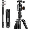 Fotopro 200CM/79inch treppiede per fotocamera, 2 in 1 treppiede da viaggio in alluminio e testa a 360°, monopiede staccabile per DSLR CSLR, carico massimo 10KG/22lbs
