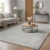 the carpet Marley elegante tappeto design soggiorno, morbido & facile cura tappeto soggiorno a pelo corto in argento, tappeto 60 x 110 cm