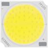 SPOUPKFKCK 10 pz Chip COB 30 w 19X19mm DC30-36V 900mA Sorgente a diodi emettitori di luce Accessori adatti for faretti e luci da binario for la riparazione(Natural White)
