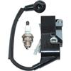 RLFNPHMHX Modulo di accensione for CRAFTSMAN CMXGSAMA426S CMXGSAMY426S R/e/m/i/n/g/t/o//n RM4214 RM4216 RM4218 Troy-Bilt TB4620C TB4620CXP TB4620HXP
