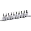 Projahn, Set di inserti TX 1/2 su supporto 9 pz. 4224