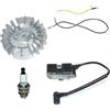 GTWSQQ Bobina di accensione, volano for motosega Jonsered 2063 2065 2071 2071W 2140 2145 2149 2150 2152 2159 2163 2165 2171 2188, 503511504