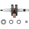 PUYEN Kit paraolio for cuscinetto di biella 'albero motore for H//U//S//Q//V//A//R//N//A 365 372 365XP 372XP Parti del for motosega