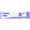 BOIRON Lachesis mutus 30ch gl bo - BOIRON - 800026332
