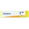 BOIRON Causticum boi*1mk gl 1g - BOIRON - 048086387