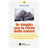 L'Età dell'Acquario In viaggio con la ruota della natura. Storia di un vecchio faggio e di una ragazza che riscoprì le tradizioni dei celti