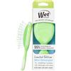 Wet Brush Mini spazzola districante per capelli per rimuovere delicatamente i nodi, formato da viaggio, setole morbide per districare senza dolore, meno rotture, funziona su tutti i tipi di capelli