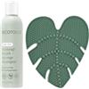 EcoTools Tampone per la pulizia dei pennelli da trucco + pacchetto di shampoo per pulizia profonda, tappetino per la pulizia dei pennelli e detergente per pennelli da trucco per strumenti di pulizia