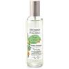 Esteban Paris Orange e Thè Vert Arancio E Thè Verde Spray Per Ambiente 100 ml Made In France