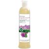 Sapone di un Tempo Shampoo Capelli Grassi e con Forfora 500 ml - Shampoo Antiforfora Bio, Purificante e Seboregolatore, con Aloe Vera, Ortica e Bardana - Azione Antisettica ed Equilibrante