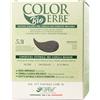 Colorerbe Multipack 6x TINTURA COLOR ERBE CIOCCOLATO (5.31)-Colorazione Permanente in Gel-Senza Ammoniaca,Resorcina,Parabeni-Copertura Ottimale Capelli Bianchi-Nutre-Protegge-Illumina-MadeInItaly