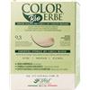 Colorerbe Biondo Chiarissimo Dorato (9.3)