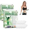 Generico Moringa X Berberine X NAD Patches,10-in-1 Cerotto Avanzato Microneedle, ingredienti naturali, facili da applicare, invisibili sotto i vestiti, ideali per uomo e donna (2Scatola)