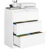 Sightlife Armadio per cartelle sospese, a doppio binario, con 3 cassetti, in metallo, armadietto in acciaio, armadietto da ufficio, ampio cassetto per formato A4, legale