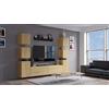 Furnitech C34 Future Pareti attrezate, Soggiorno moderno, Set mobile TV, Armadio moderno, Pensile (Led RGB (16 colori), C34/M/DZ4 1B)