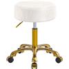 XCRFKGW Dorato Sgabello con Ruote, Sedia con Rotelle Regolabile Altezza, Motivo Ghiacciaio Pelle PU, Trucco Sgabelli Girevole per Trucco, Salone e Spa, Capacità 400 Libbre (Bianco, Senza Schienale)