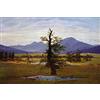 1art1 Caspar David Friedrich Poster XXL L'Albero Solitario, 1822 Stampa Geante 120x80 cm