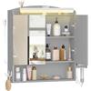 Hzuaneri Specchio Bagno Contenitore, Mobiletto a specchio con illuminazione a LED, porta asciugacapelli e ganci, mobile specchio bagno, con Ripiano Regolabile, 16,5 x 60 x 68,5 cm, Grigio MC10027XEU