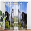 Surwin Cavallo Tende per Interni, Tende a Vetro con Occhielli, 2 PezziTende Camera da Letto, Tende Voile Semi Trasparenti, per Camera Cucina, Soggiorno (Arcobaleno,80x115cm)