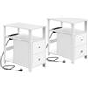 WOLTU Tavolino Stretto con Stazione di Ricarica per Divano, Set di 2，Comodino con 2 Cassetti 2 Ripiani 1 Scomparto, 60x60x30 cm, Bianco, BTS28ws-2