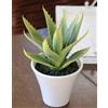 artplants.de Aloe Vera Artificiale Rosalina in Vaso di Ceramica, Verde, 21cm - Aloe Finta