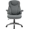 WOLTU Sedia Ergonomica da Ufficio con Supporto Lombare, Poltrona Ufficio con Funzione Basculante e Braccioli Regolabili, Altezza Regolabile, Tela, Grigio